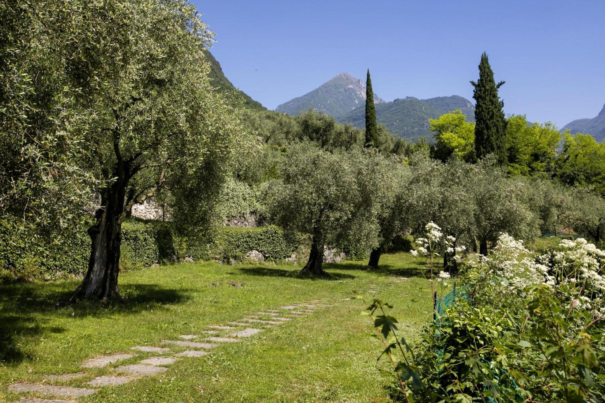 Lake View Dom-Us Apartment - Happy Rentals Riva del Garda Extérieur photo